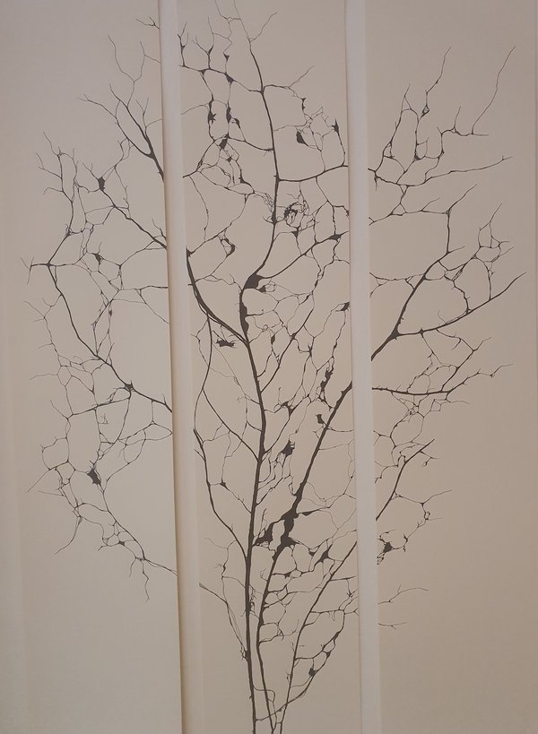 Triptychon bild von Iona Steixner. abstrakte baumähnliche Struktur auf weißem hintergrund